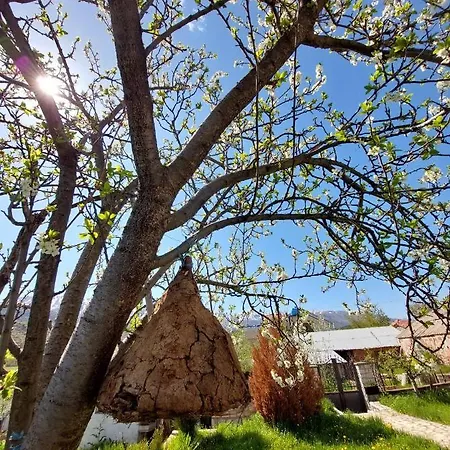 Prespa's Balcony * Dolna Gorica