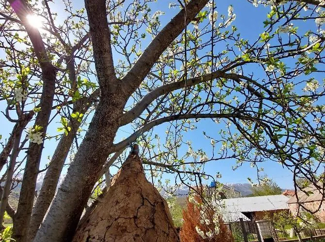 Prespa's Balcony * Dolna Gorica